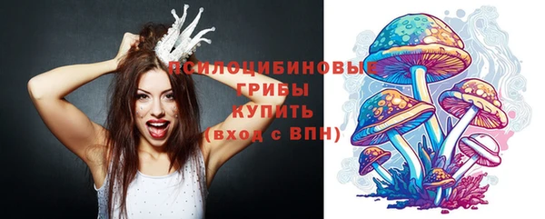 первитин Арсеньев