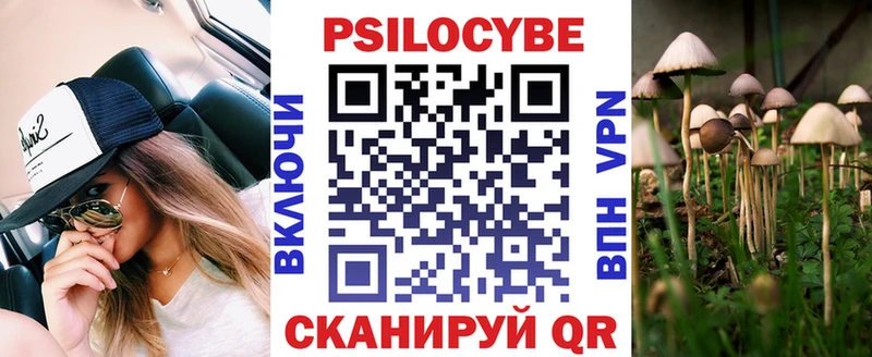 как найти закладки  Новоуральск  Галлюциногенные грибы Psilocybine cubensis 